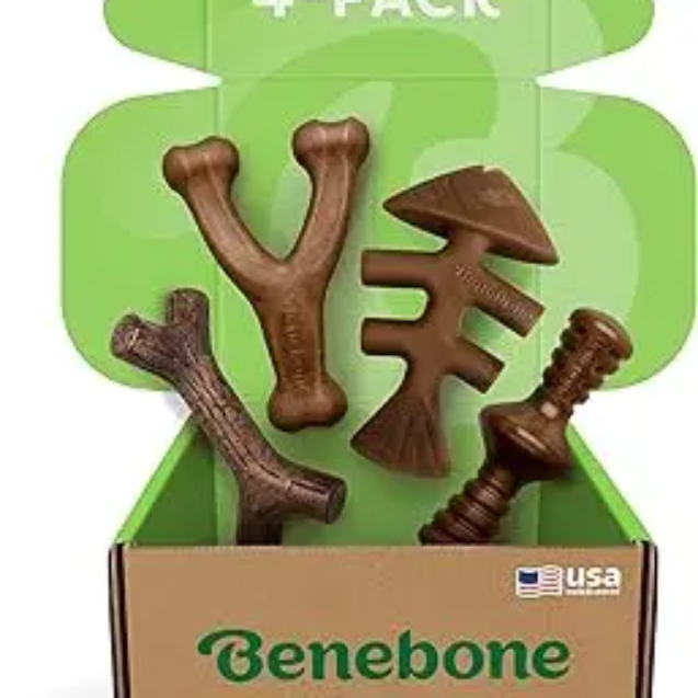 dog bone